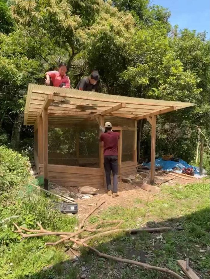 みんなで鶏小屋をつくっている様子